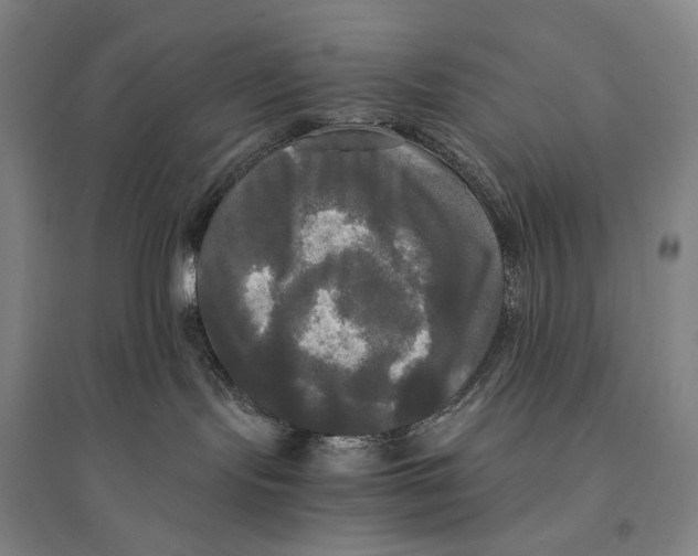 X0000095520095200801111446