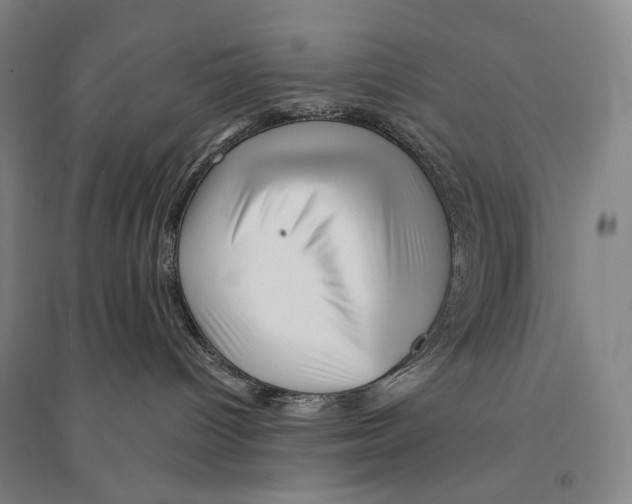X0000095520096200801111446