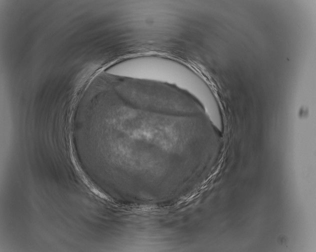 X0000095520097200801111445