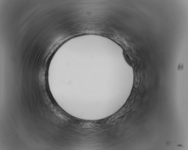 X0000095520098200801111445