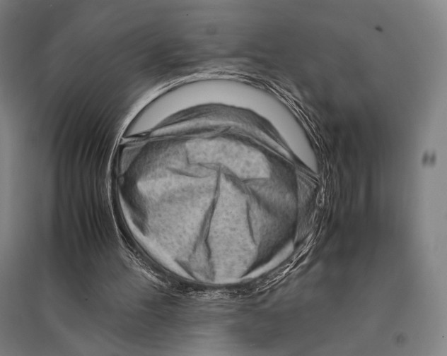 X0000095520100200801111445
