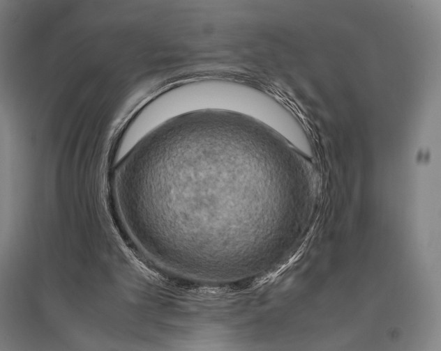 X0000095520101200801111445