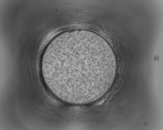 X0000095520103200801111445
