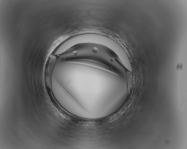 X0000095520104200801111445