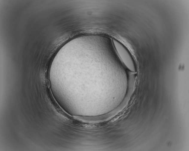 X0000095520105200801111445