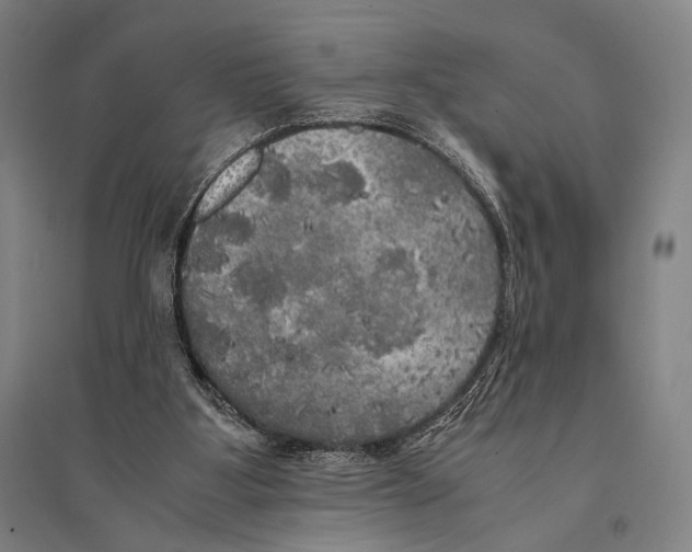 X0000095520107200801111445