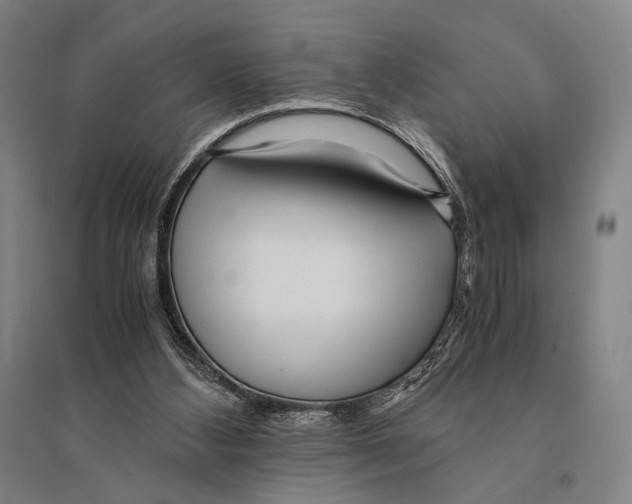 X0000095520108200801111445