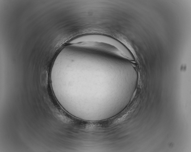 X0000095520109200801111445