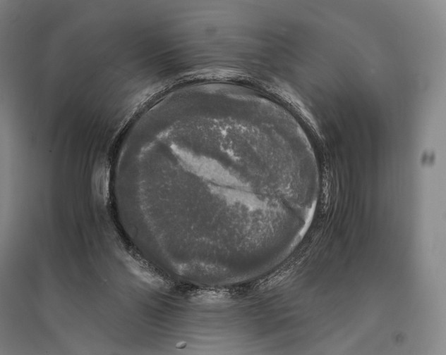 X0000095520110200801111445