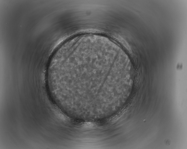 X0000095520111200801111445