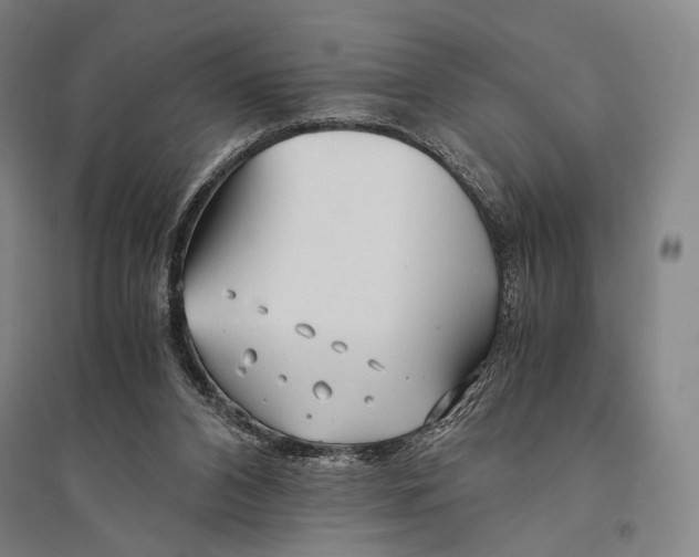X0000095520112200801111445