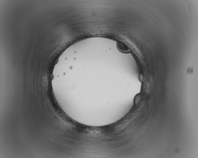 X0000095520113200801111445