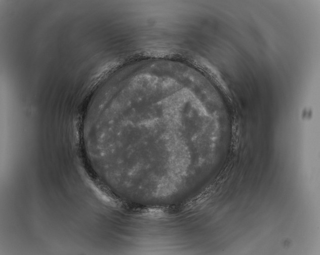 X0000095520114200801111445