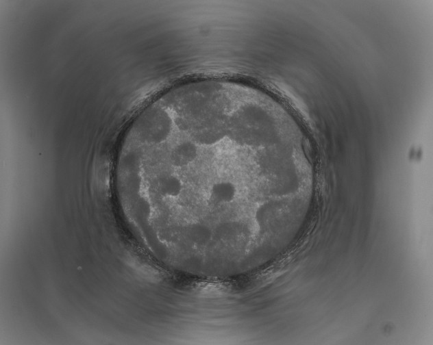X0000095520115200801111445