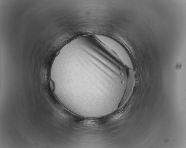 X0000095520117200801111445