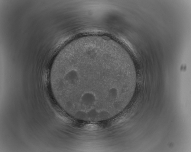 X0000095520119200801111445