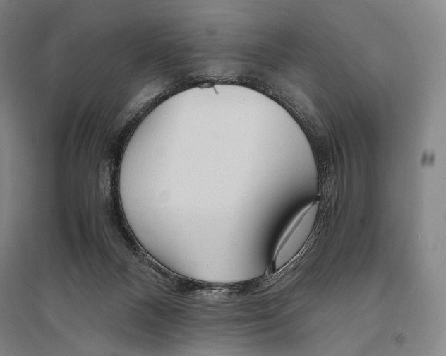 X0000095520120200801111445