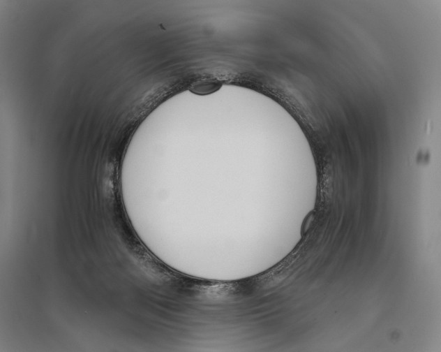 X0000095520122200801111445