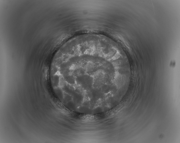 X0000095520123200801111445