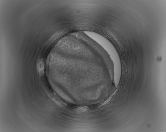 X0000095520124200801111445