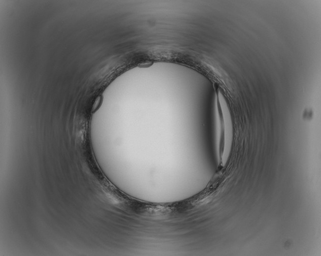X0000095520125200801111445