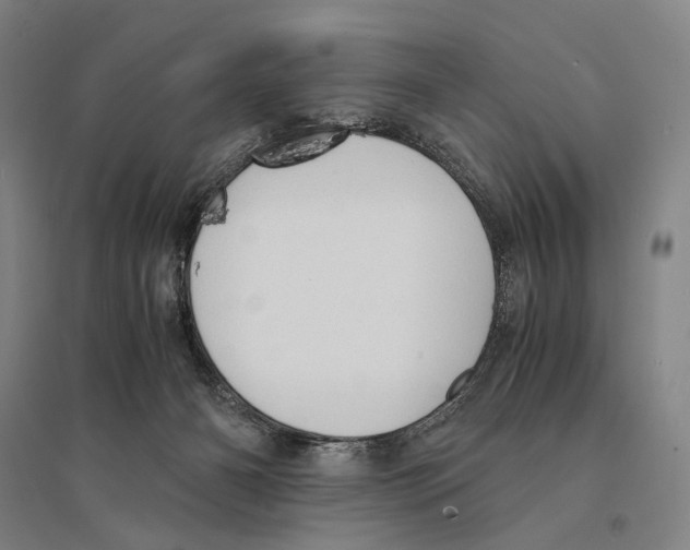X0000095520126200801111445
