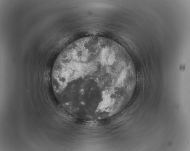 X0000095520127200801111445