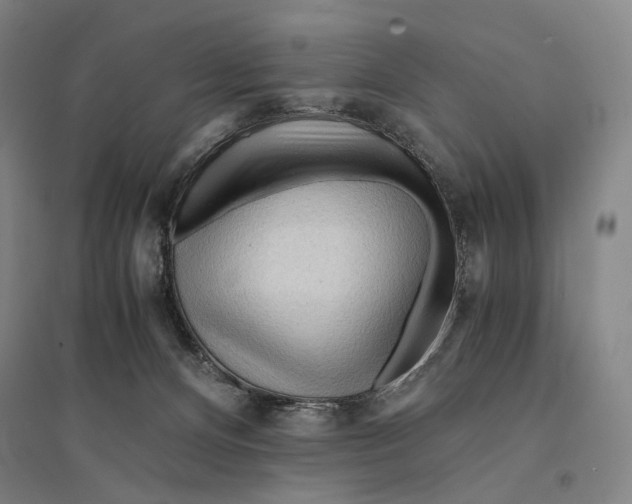 X0000095520128200801111445