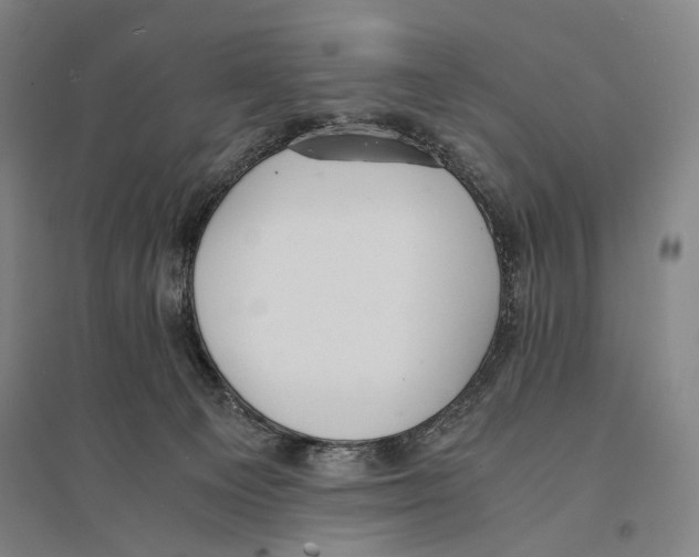 X0000095520129200801111445