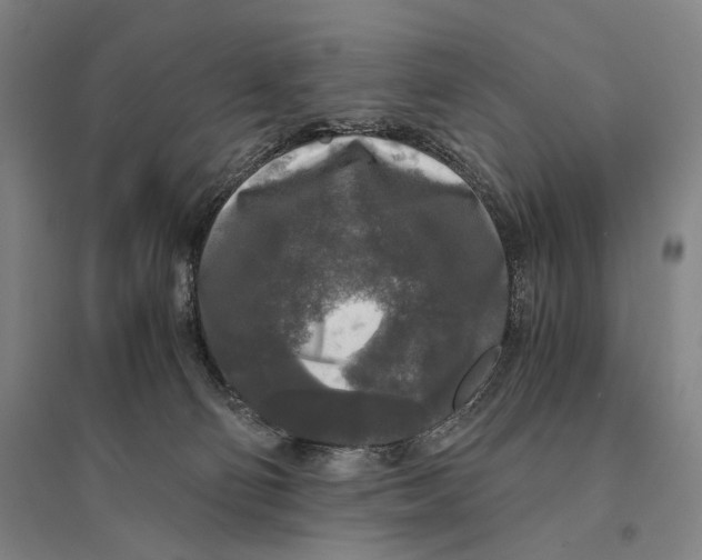 X0000095520130200801111445
