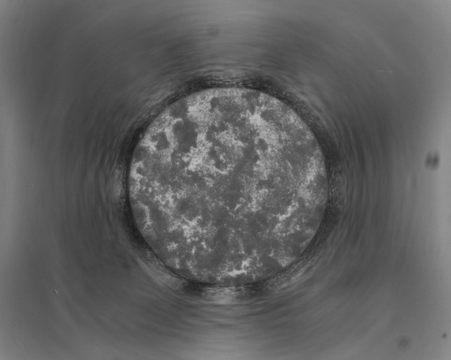 X0000095520131200801111445
