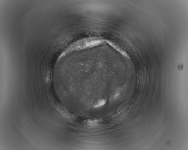 X0000095520134200801111445
