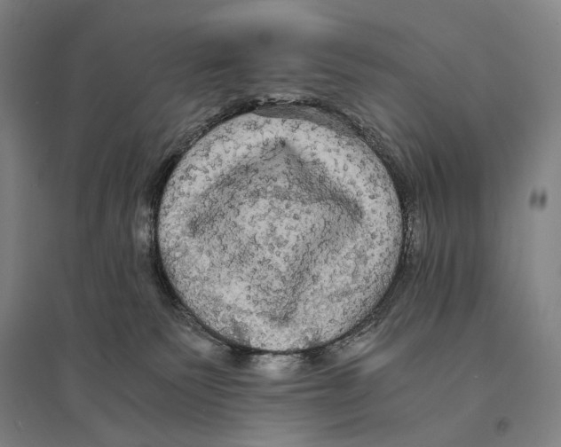 X0000095520135200801111445