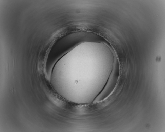 X0000095520136200801111445