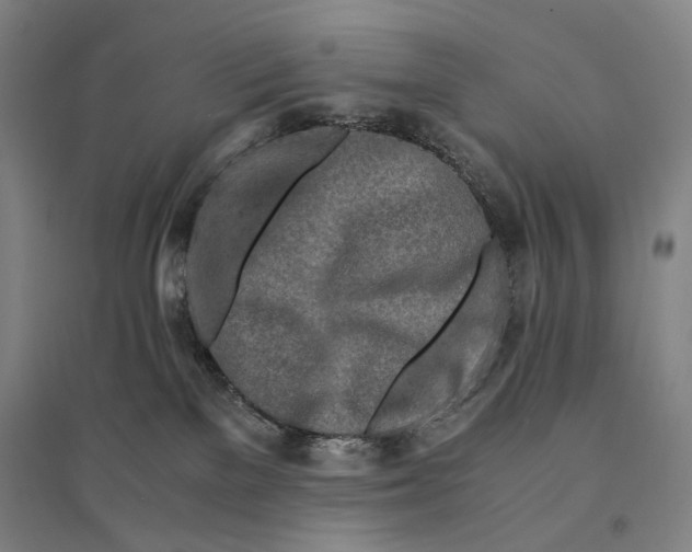 X0000095520137200801111445