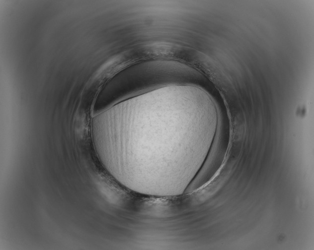 X0000095520140200801111445