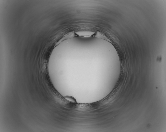 X0000095520141200801111445