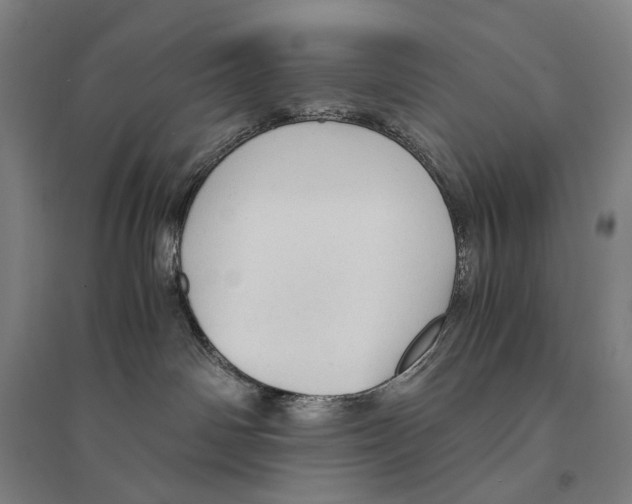 X0000095520142200801111445