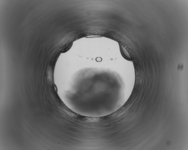 X0000095520143200801111445