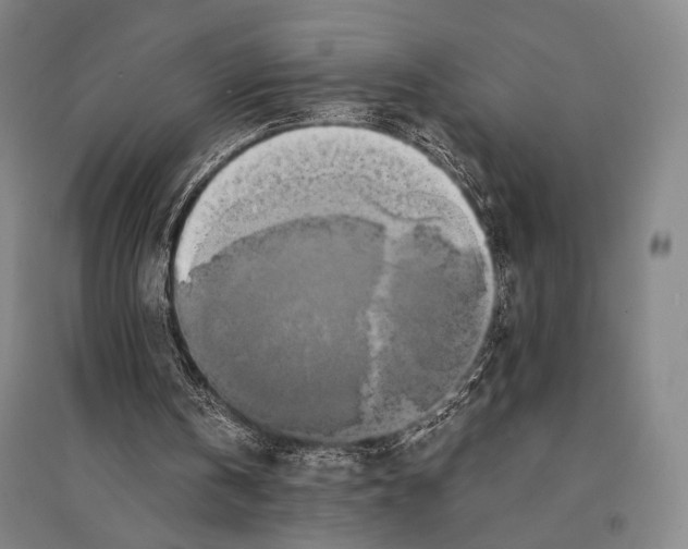 X0000095520146200801111444