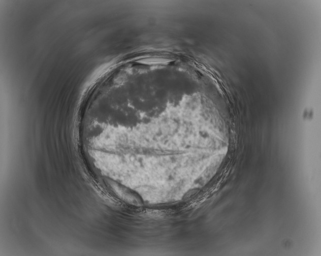 X0000095520149200801111444