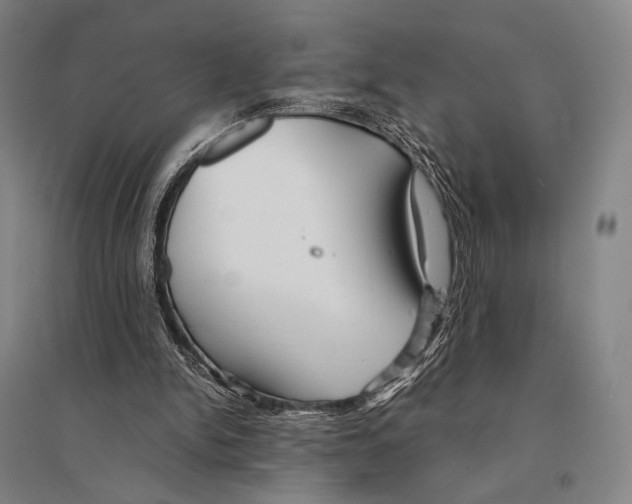 X0000095520150200801111444