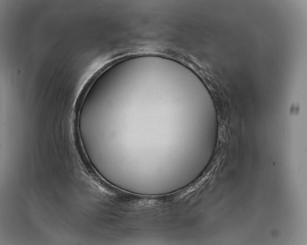 X0000095520152200801111444