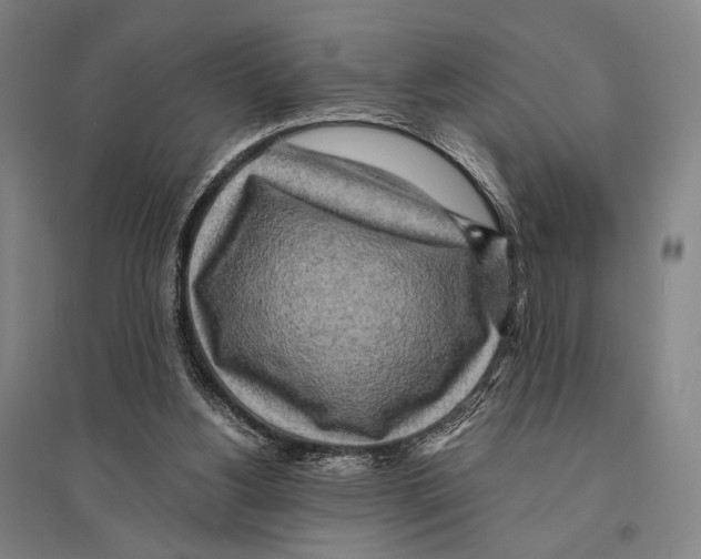 X0000095520156200801111444