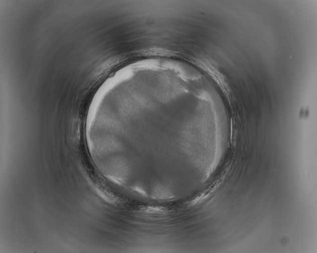 X0000095520157200801111444