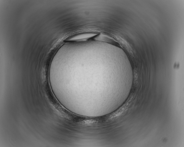 X0000095520158200801111444
