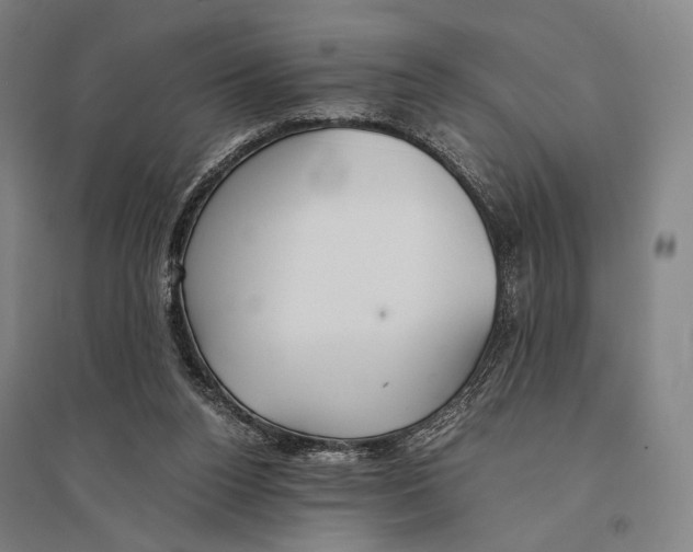 X0000095520160200801111444