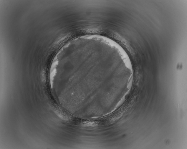 X0000095520161200801111444