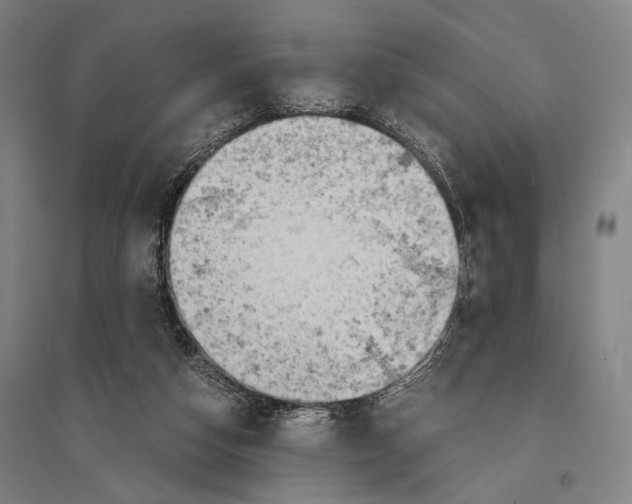 X0000095520162200801111444