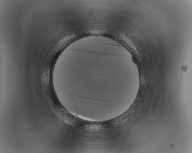 X0000095520163200801111444